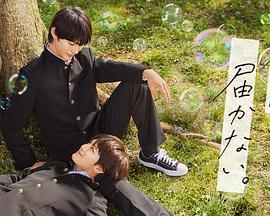 六安seo站内优化